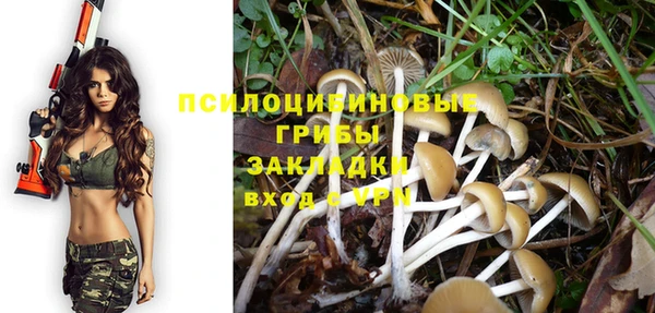 прущий лед Волосово