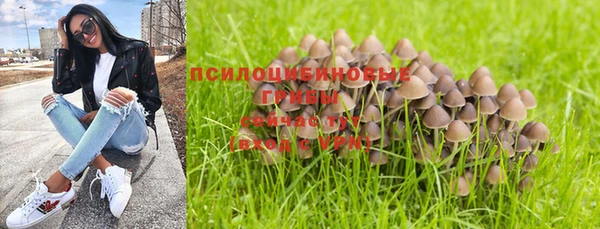 прущий лед Волосово
